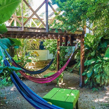 Ciao Cacao Hostel & Vegan Cafe Flores Ngoại thất bức ảnh