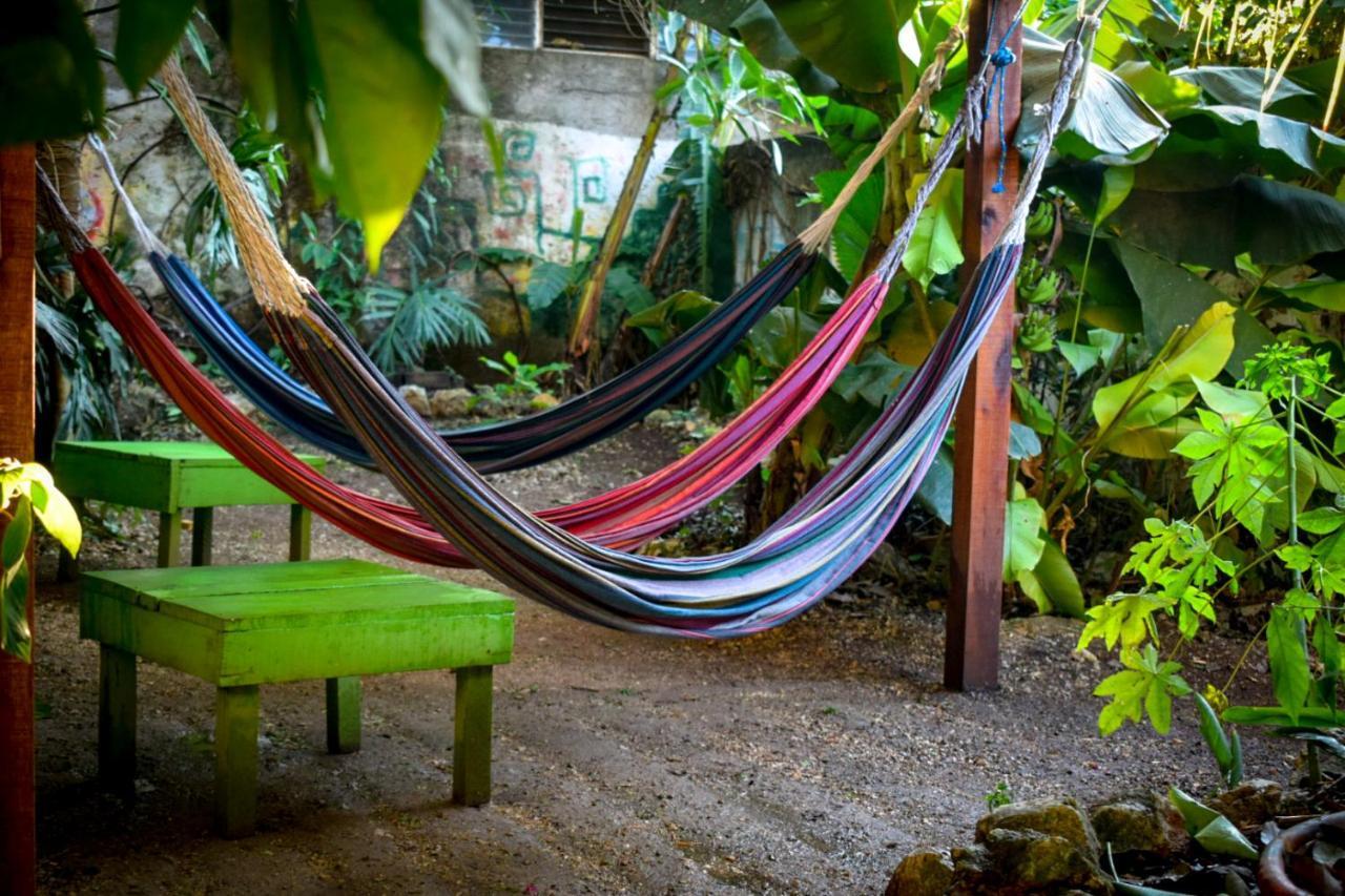 Ciao Cacao Hostel & Vegan Cafe Flores Ngoại thất bức ảnh