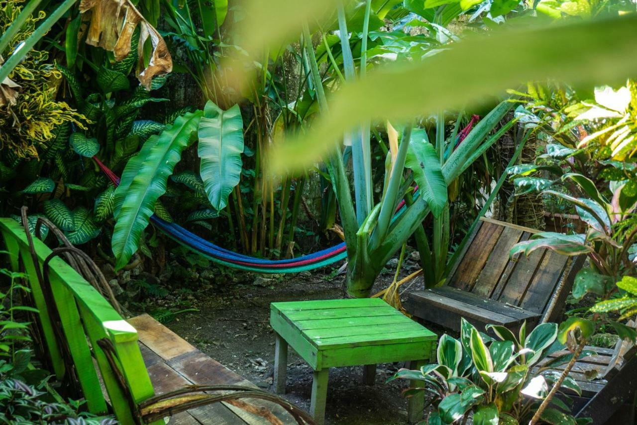 Ciao Cacao Hostel & Vegan Cafe Flores Ngoại thất bức ảnh