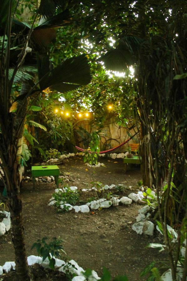 Ciao Cacao Hostel & Vegan Cafe Flores Ngoại thất bức ảnh