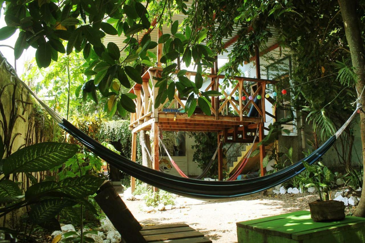 Ciao Cacao Hostel & Vegan Cafe Flores Ngoại thất bức ảnh