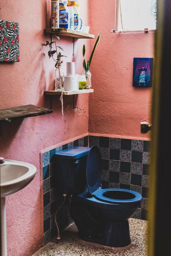 Ciao Cacao Hostel & Vegan Cafe Flores Ngoại thất bức ảnh