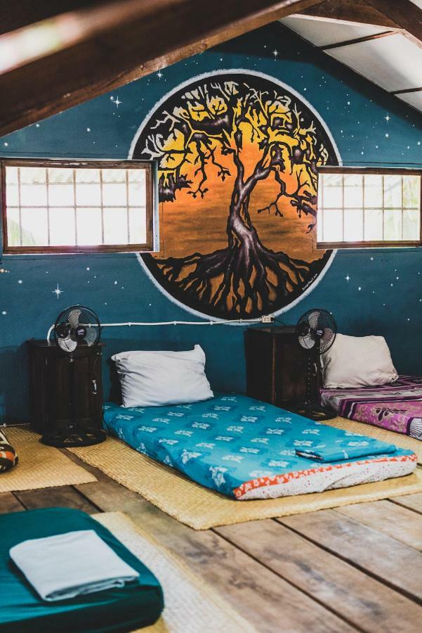 Ciao Cacao Hostel & Vegan Cafe Flores Ngoại thất bức ảnh